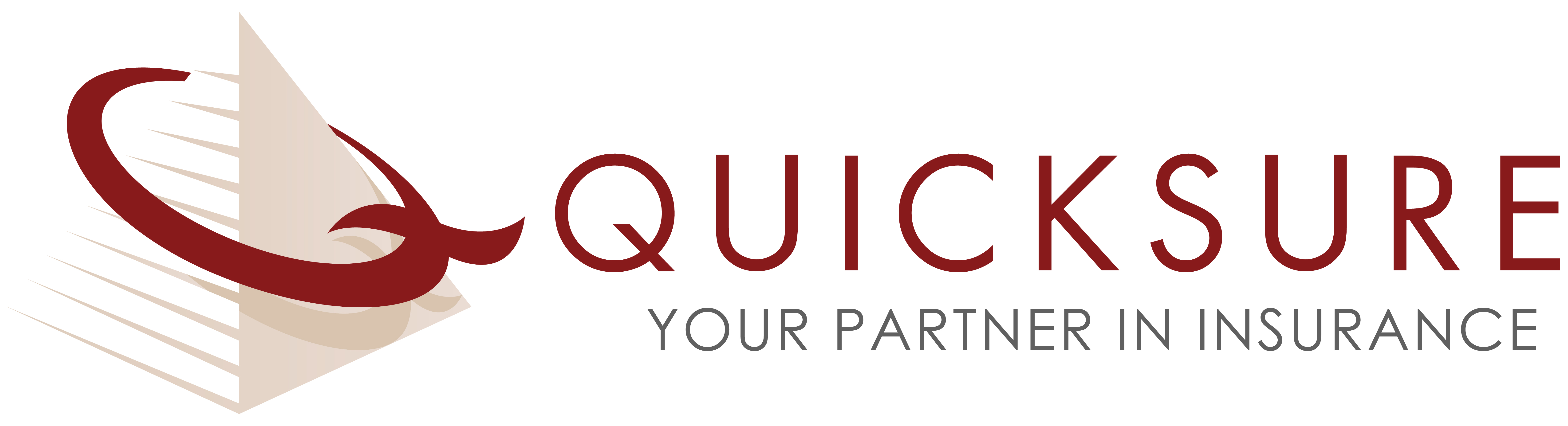Quicksure Logo